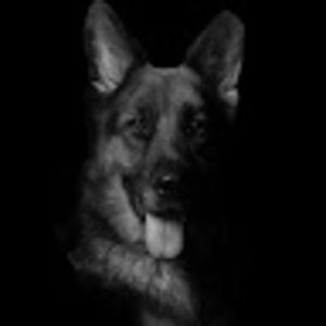 Meet your Posher, Loay